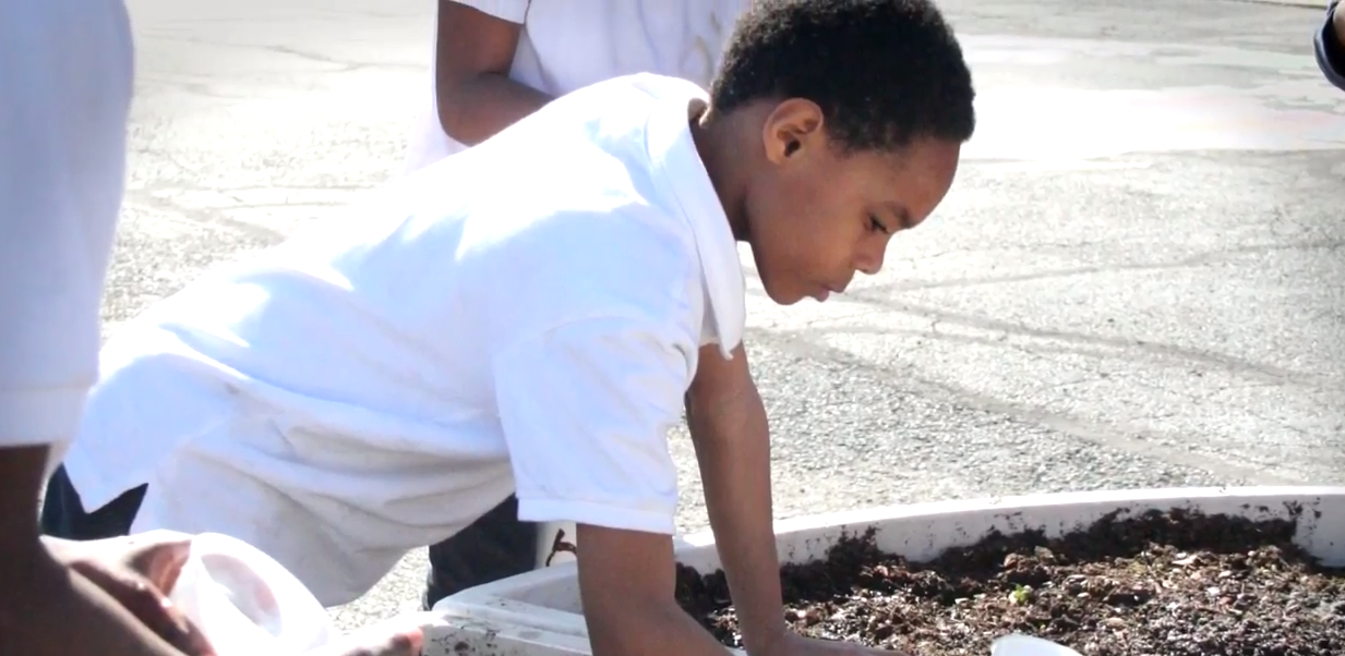 Community Garden
