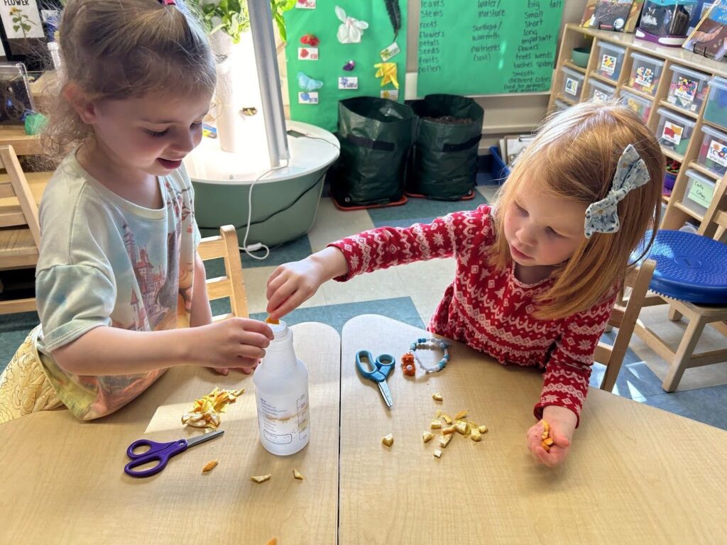 Students learn FES 7 "we can advocate for food choices and changes that affect ourselves, our communities, and our world" by learning how to reduce food waste by making a natural cleaner out of leftover citrus peels. 